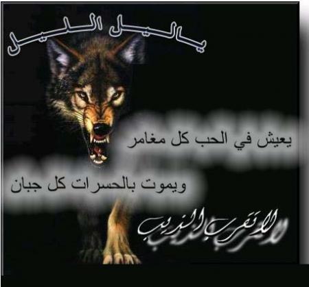 ���� ������